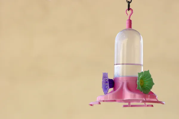 Hummingbird feeder — Stockfoto