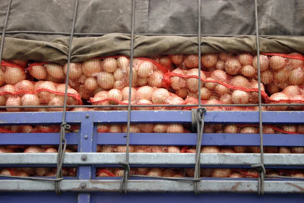 Transportar cebolas — Fotografia de Stock
