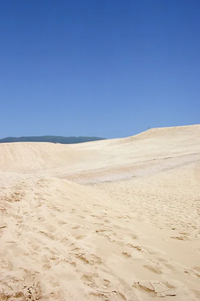 Florianopolis dunes — Stock Photo, Image