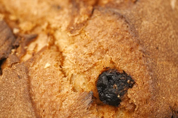 Panettone detail — Stock Photo, Image