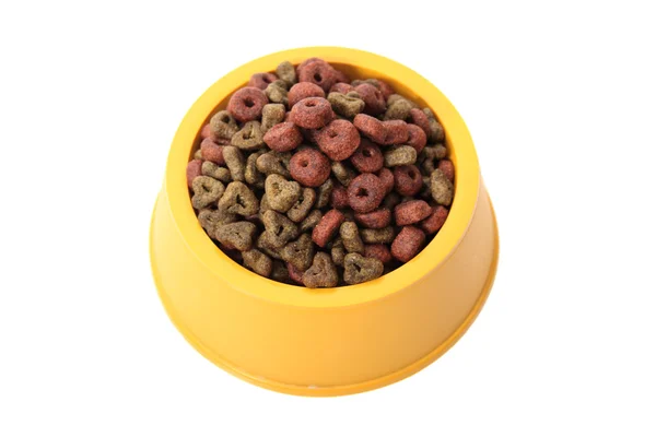 Full dog bowl — Stock Photo, Image