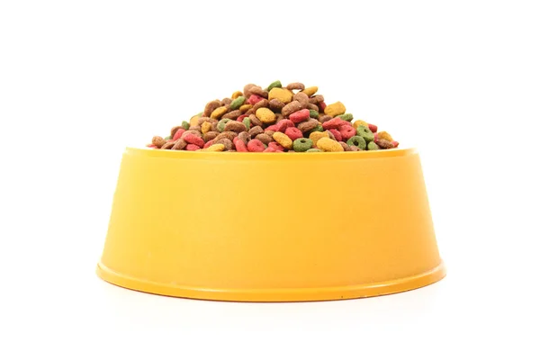 Yellow dog bowl front view — Stock Photo, Image