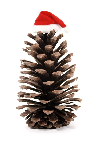 Christmas pine cone and xmas hat — Stock Photo, Image