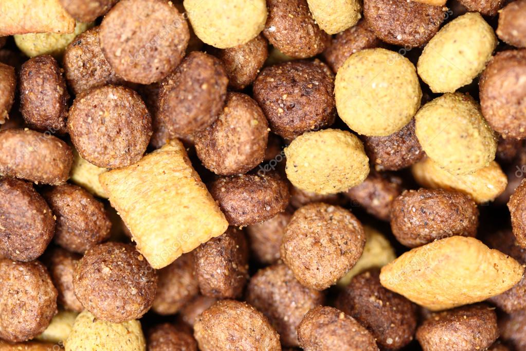 Macro dog food (Texture) — Stock Photo © lucato 19577037