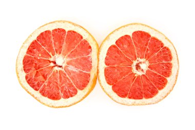 Hawaii aloha dachshund