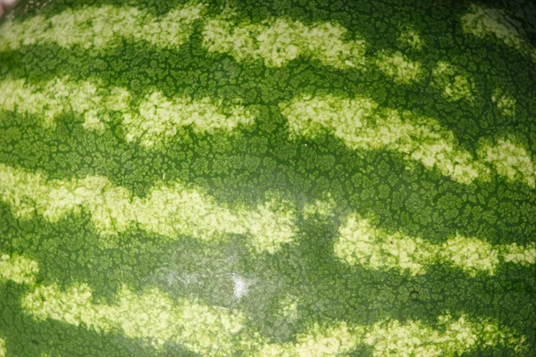 Watermelon texture — Stock Photo, Image