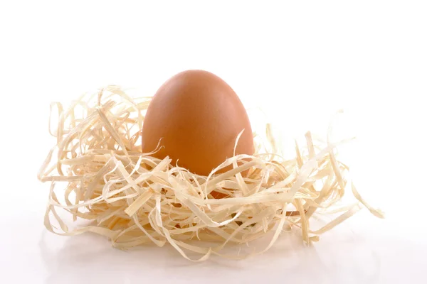 Brown egg in the nest — Stock Photo, Image