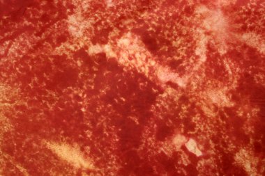 kahverengi grunge kağıt