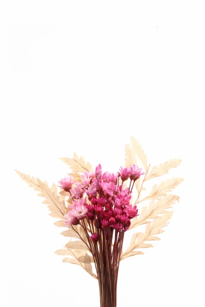 Ornamento de flores pequenas — Fotografia de Stock