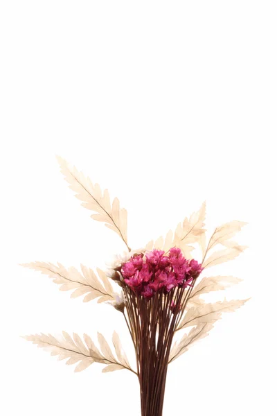Small bouquet ornament — Stock Photo, Image