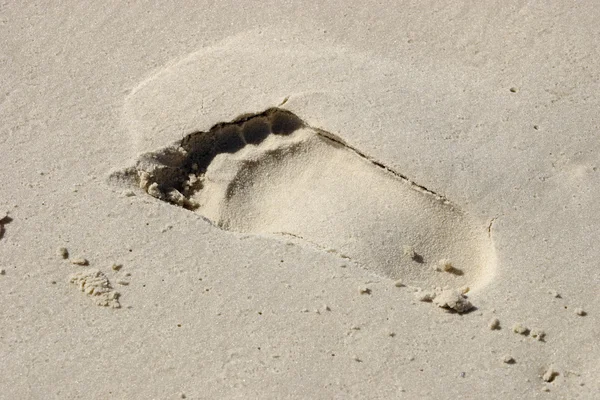 Footprint on sand — Stock Photo, Image