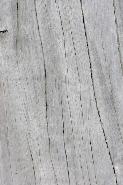 Hout close-up — Stockfoto