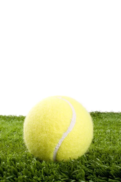 Pelota de tenis sobre hierba — Foto de Stock