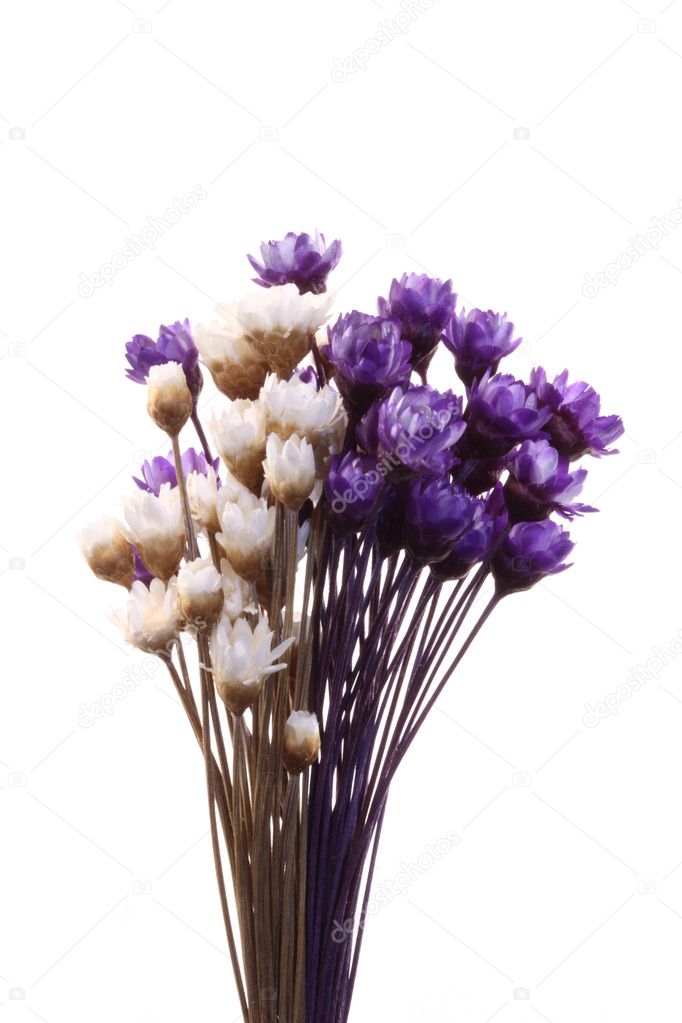 Micro flowers decoration