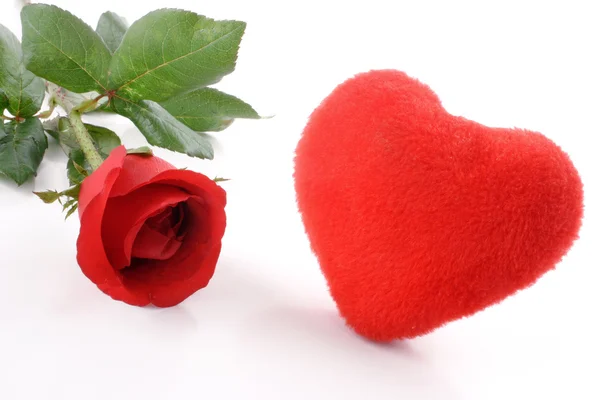 Srdce a růže — Stock fotografie