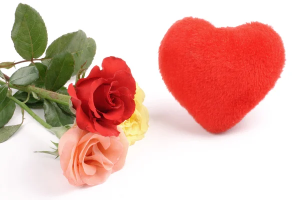 Roses and heart — Stock Photo, Image