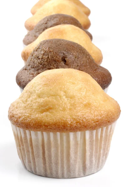 Muffins em linha — Fotografia de Stock