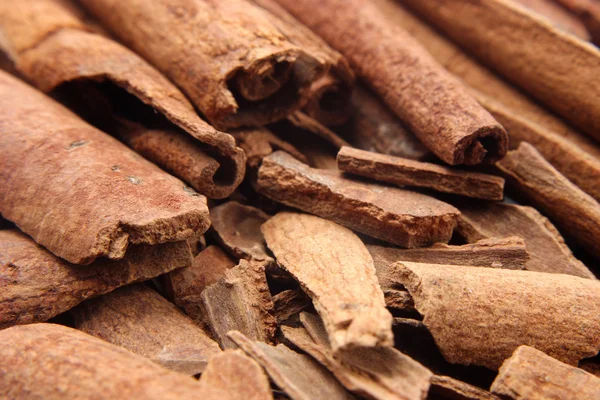 Cinnamon close up — Stock Photo, Image