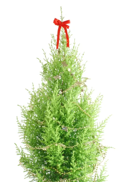 Pine tree decorated — Stock Photo, Image