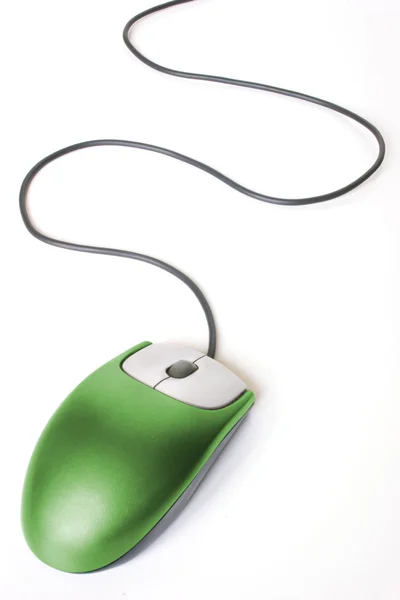 Green Mouse — Stock Photo, Image