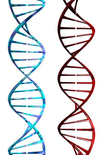 DNA (3D) — Stock Photo, Image