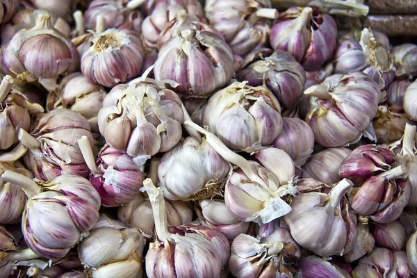 Garlic for seasoning — Stock Photo, Image