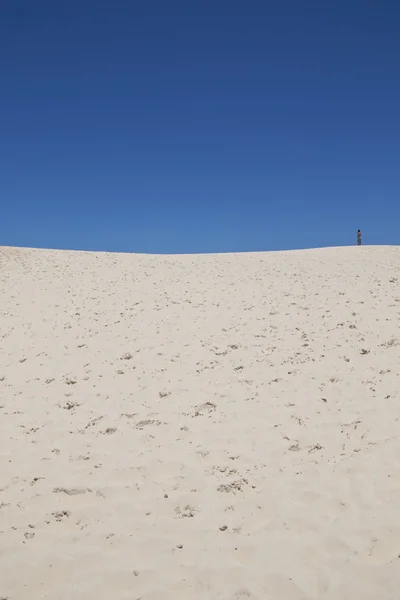 Жоакина дюна — стоковое фото
