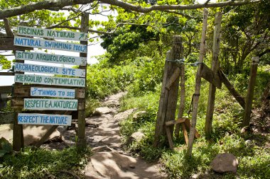 Barra da lagoa yolu - florianopolis - Brezilya