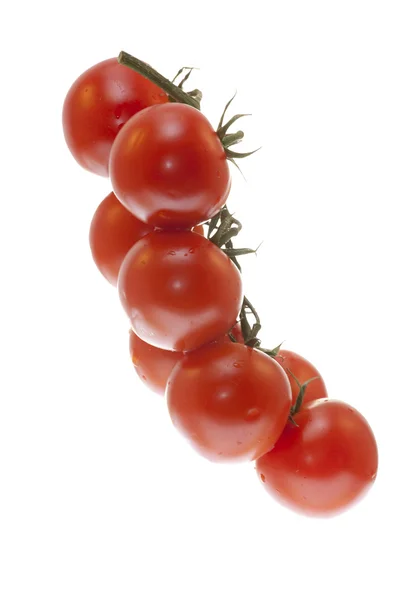 A branch of tomatoes on white background — Stock Photo, Image