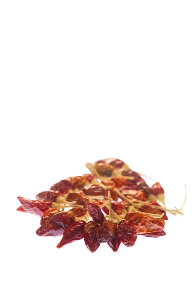 Dried red pepper on a white background tied together — Stock Photo, Image