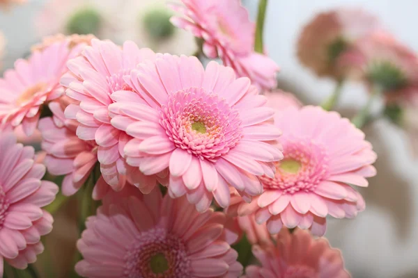 Chrysant boeket — Stockfoto