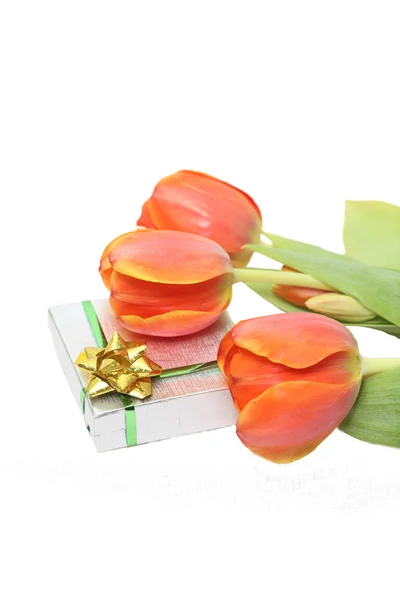 Regalo di primavera — Foto Stock