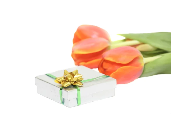 Spring present — Stock Photo, Image