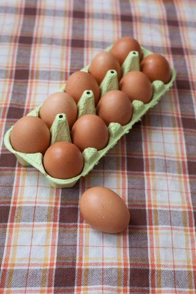 Brownn ägg — Stockfoto