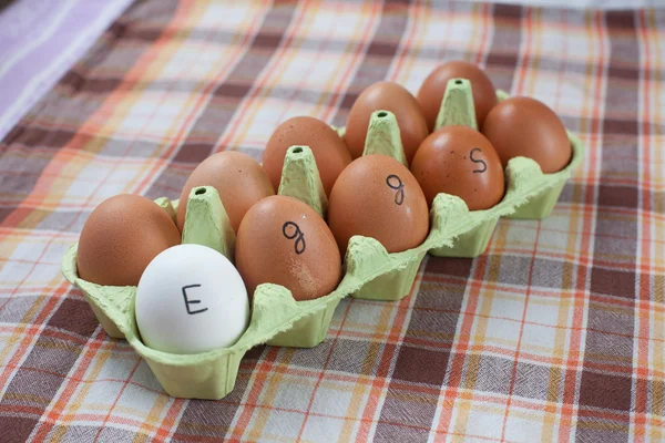 Eggs letters — Stock Photo, Image