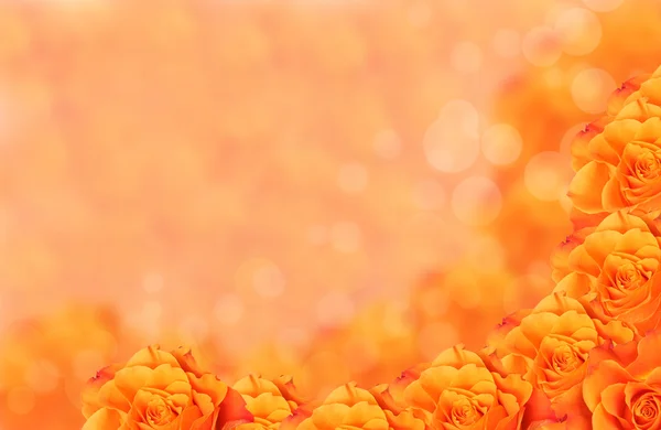 Orange blomma med bokeh — Stockfoto