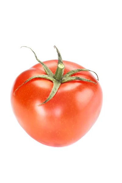 Beyaz arkaplanda taze kırmızı domates — Stok fotoğraf