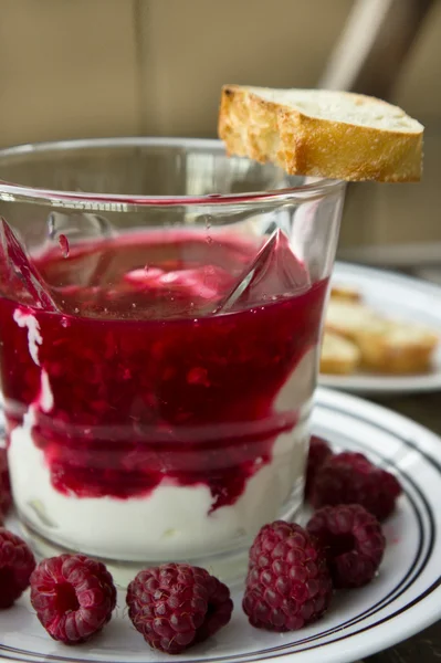 Dessert organic yogurt with raspberry jelly and french baguette — Stock Photo, Image