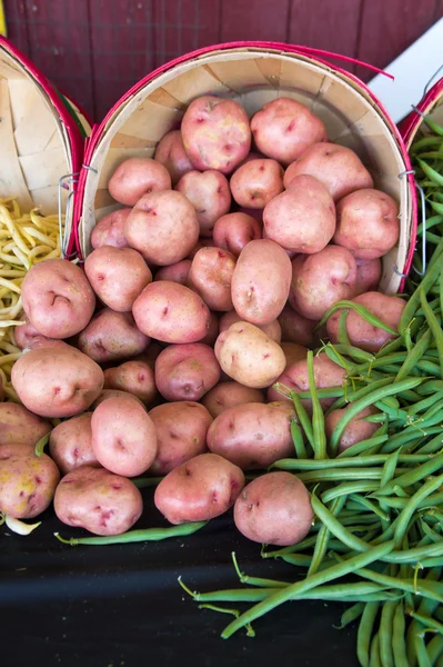 Vegetables on a farmers market — Stock Photo, Image