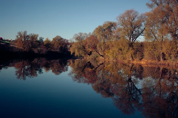 Watersymmetry — Stok fotoğraf