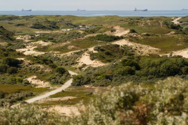 The dunes and North sea [Netherlands] clipart