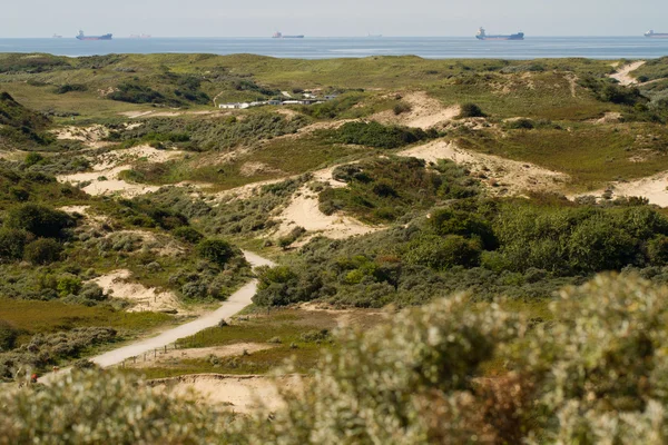 The dunes and North sea [Netherlands] — Stock Photo, Image