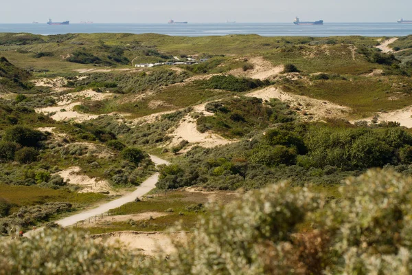 The dunes and North sea [Netherlands] Стокове Зображення