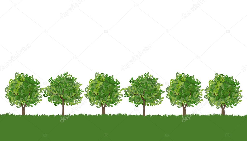 Line of trees on lush grass
