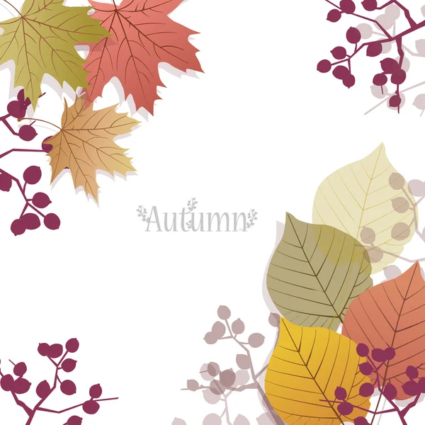 Beautiful seasonal Background with autumn leaves and berries — Stock Vector