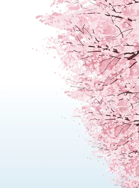 美しい通りの桜 — ストックベクタ