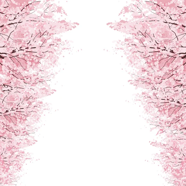 Rows of Cherry Blossom trees — Stock Vector