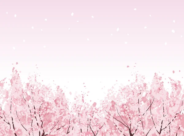 Piena fioritura di bellissimi alberi di ciliegio — Vettoriale Stock