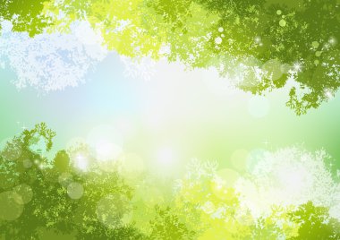 yumuşak güneş ışığı ile taze bahar yeşil arka plan