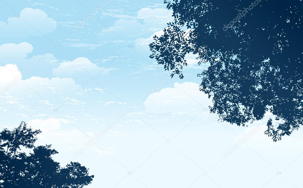 Branch silhouette with blue sky background